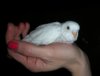 DSCN9315.JPG