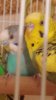 20200906_013712.jpg