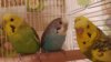 20200906_013811.jpg