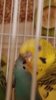 20200906_013605.jpg