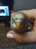 IMG_20200906_161801.jpg
