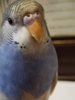 IMG_20200907_072339.jpg