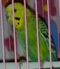 IMG_20200915_184248.jpg