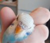 20200916_152049.jpg