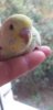 IMG-20200915-WA0001.jpeg