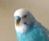 IMG_20200919_152558.jpg