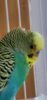 20200919_093101.jpg