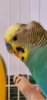 20200920_115035.jpg