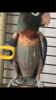 image-26-09-20-02-01.png