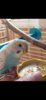 Screenshot_20200926_175102_com.whatsapp.jpg