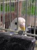 IMG_20200927_133241.jpg