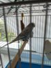 MVIMG_20201003_124952.jpg