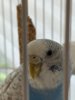 MVIMG_20201003_104808.jpg
