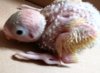 IMG_20201003_185208.jpg