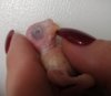 IMG_20201003_190135.jpg