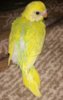 IMG_20201008_214029.jpg