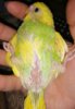 IMG_20201008_214003.jpg