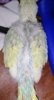 IMG_20201008_213922.jpg