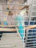 IMG_20201010_195035.jpg