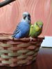 IMG_20201012_084642.jpg