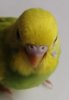IMG_20201012_112701.jpg
