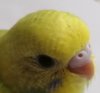 IMG_20201012_112629.jpg