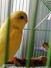 IMG_20201013_084953.jpg