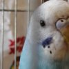 IMG_20201014_212010_218.jpg