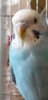IMG-20201014-WA0015.jpg