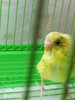 IMG_20201015_074647.jpg