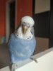IMG_20201015_145403.jpg