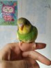 IMG_20201015_134919.jpg