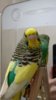 IMG20201015205907.jpg