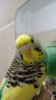 IMG20201015205910.jpg