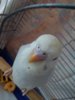 20201016_104926.jpg