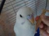 20201016_104936.jpg