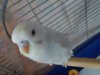 20201016_105027.jpg