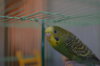 DSC_0661.JPG