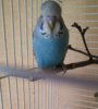 IMG_20201002_102957.jpg