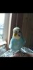 Screenshot_20201018_153008_com.whatsapp.jpg