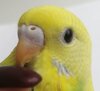 IMG_20201018_174556.jpg