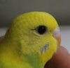 IMG_20201018_173358.jpg