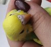 IMG_20201018_173250.jpg