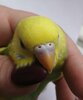 IMG_20201018_173200.jpg