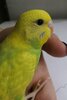 IMG_20201018_185148.jpg