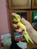 IMG_20201021_175633.jpg