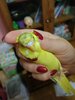 IMG_20201021_175607.jpg