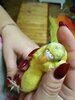 IMG_20201021_175552.jpg