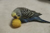 DSCF0024.jpg