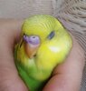 IMG_20201022_100108.jpg